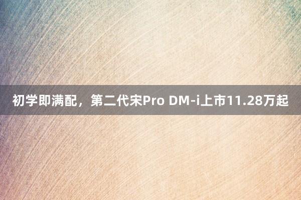 初学即满配，第二代宋Pro DM-i上市11.28万起