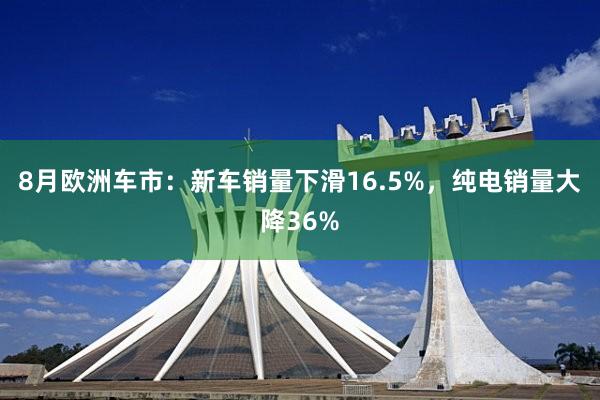 8月欧洲车市：新车销量下滑16.5%，纯电销量大降36%