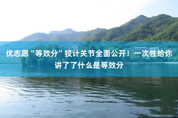 优志愿“等效分”狡计关节全面公开！一次性给你讲了了什么是等效分