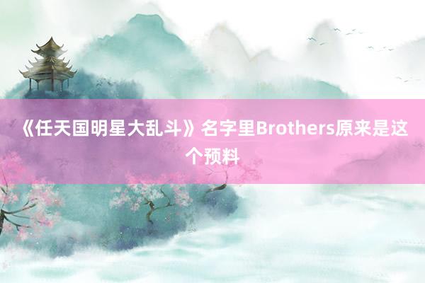 《任天国明星大乱斗》名字里Brothers原来是这个预料