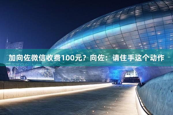 加向佐微信收费100元？向佐：请住手这个动作