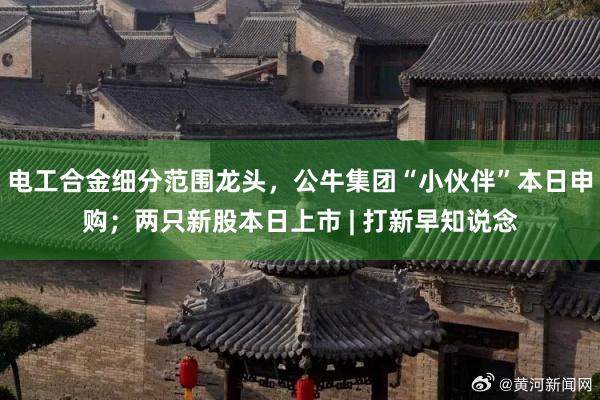 电工合金细分范围龙头，公牛集团“小伙伴”本日申购；两只新股本日上市 | 打新早知说念