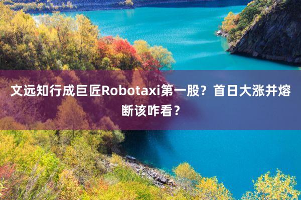 文远知行成巨匠Robotaxi第一股？首日大涨并熔断该咋看？