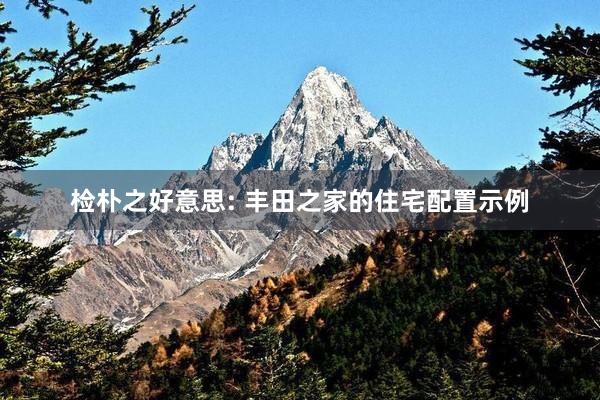 检朴之好意思: 丰田之家的住宅配置示例
